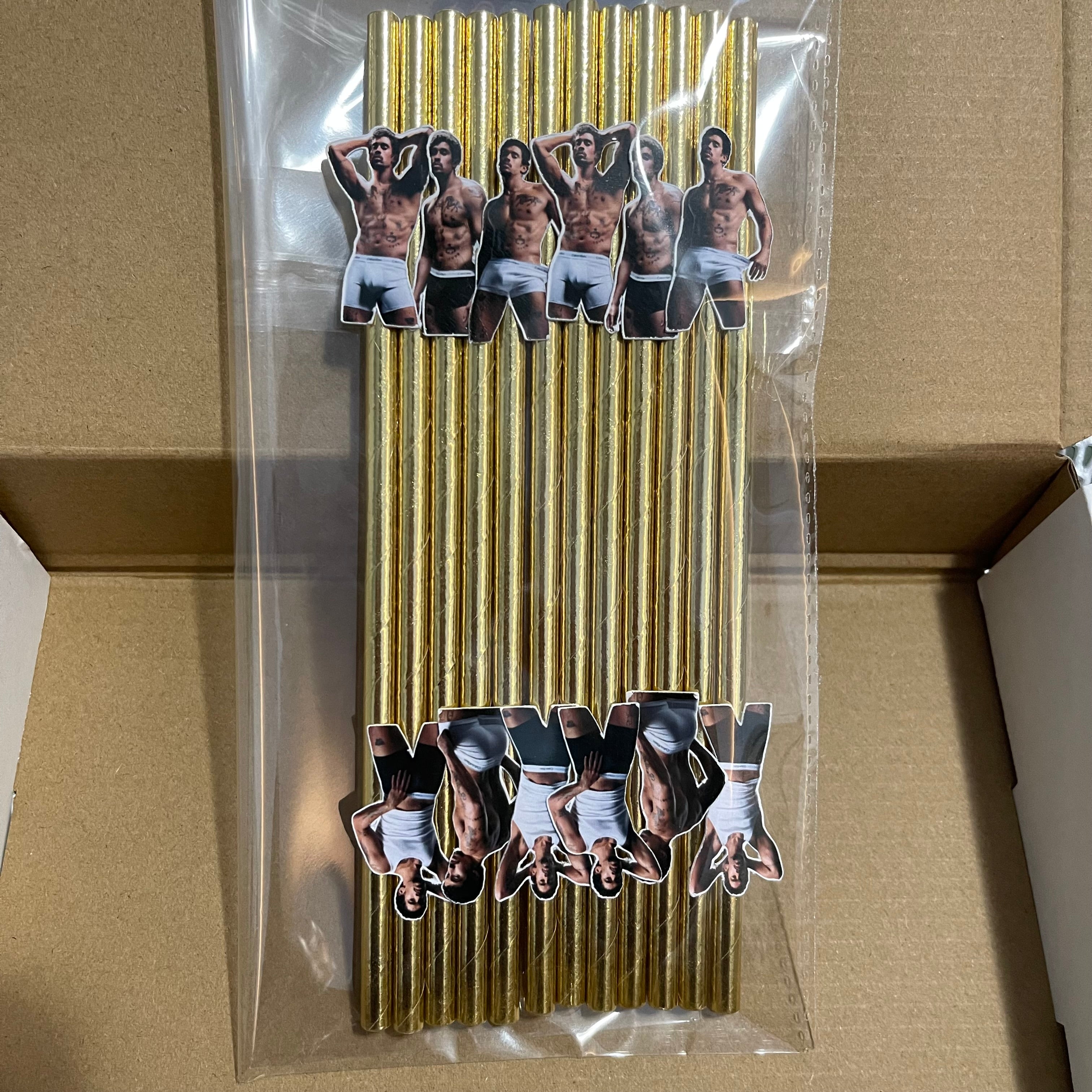 El Conejo Malo Underwear Ad Party Straws